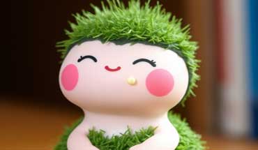 the-chia-pet